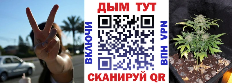 МЕТАДОН Чудово